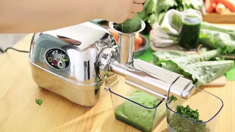 Angel Juicer Extractor